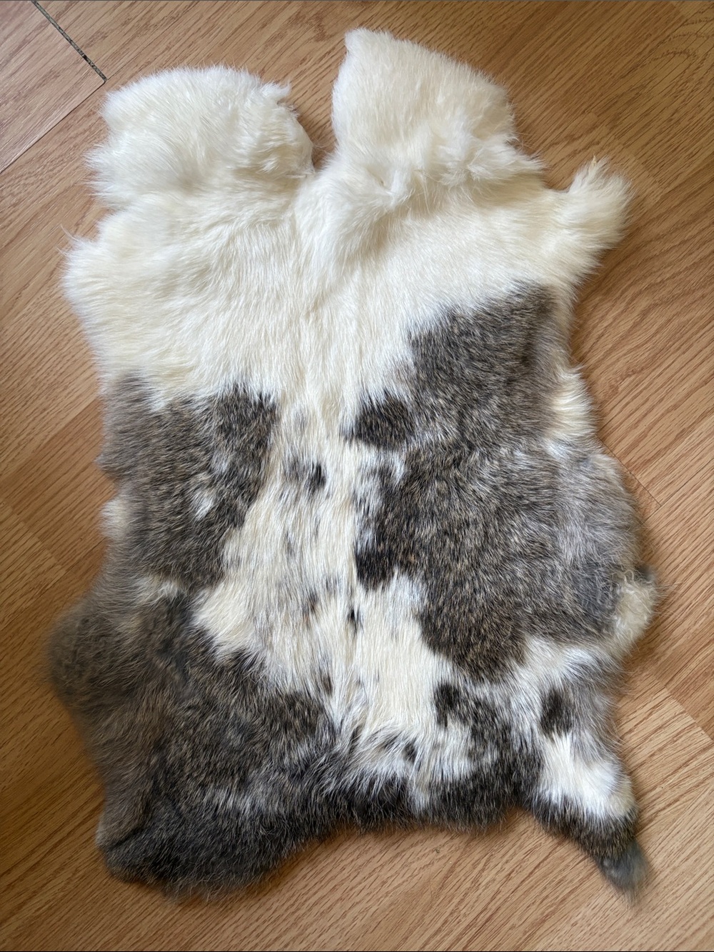 B0115 rabbit pelt
